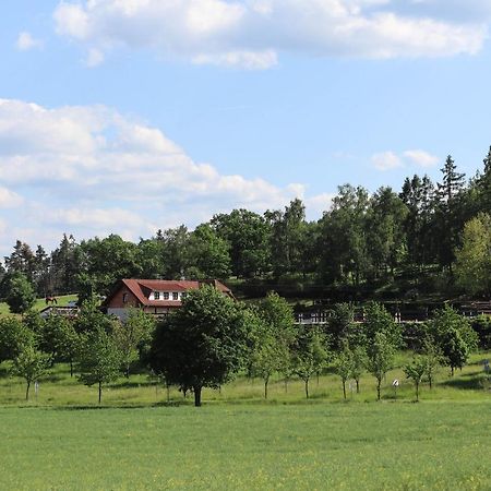 Ubytovani Pod Haniperkem Otel Vodňany Dış mekan fotoğraf