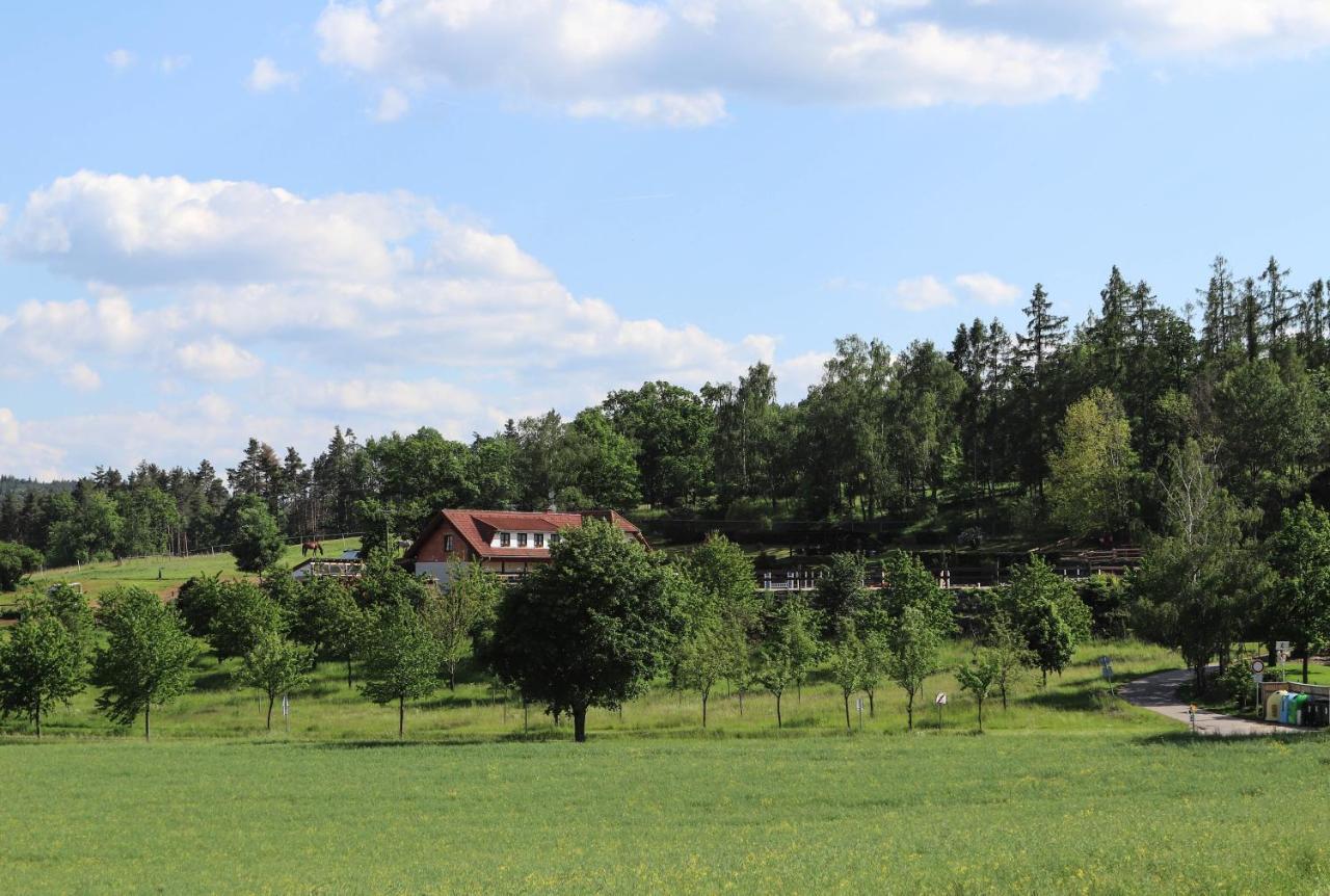 Ubytovani Pod Haniperkem Otel Vodňany Dış mekan fotoğraf