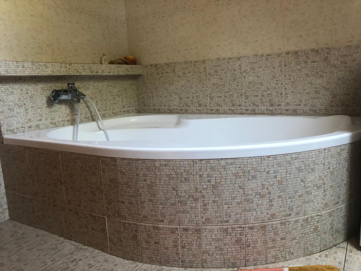 Ubytovani Pod Haniperkem Otel Vodňany Dış mekan fotoğraf