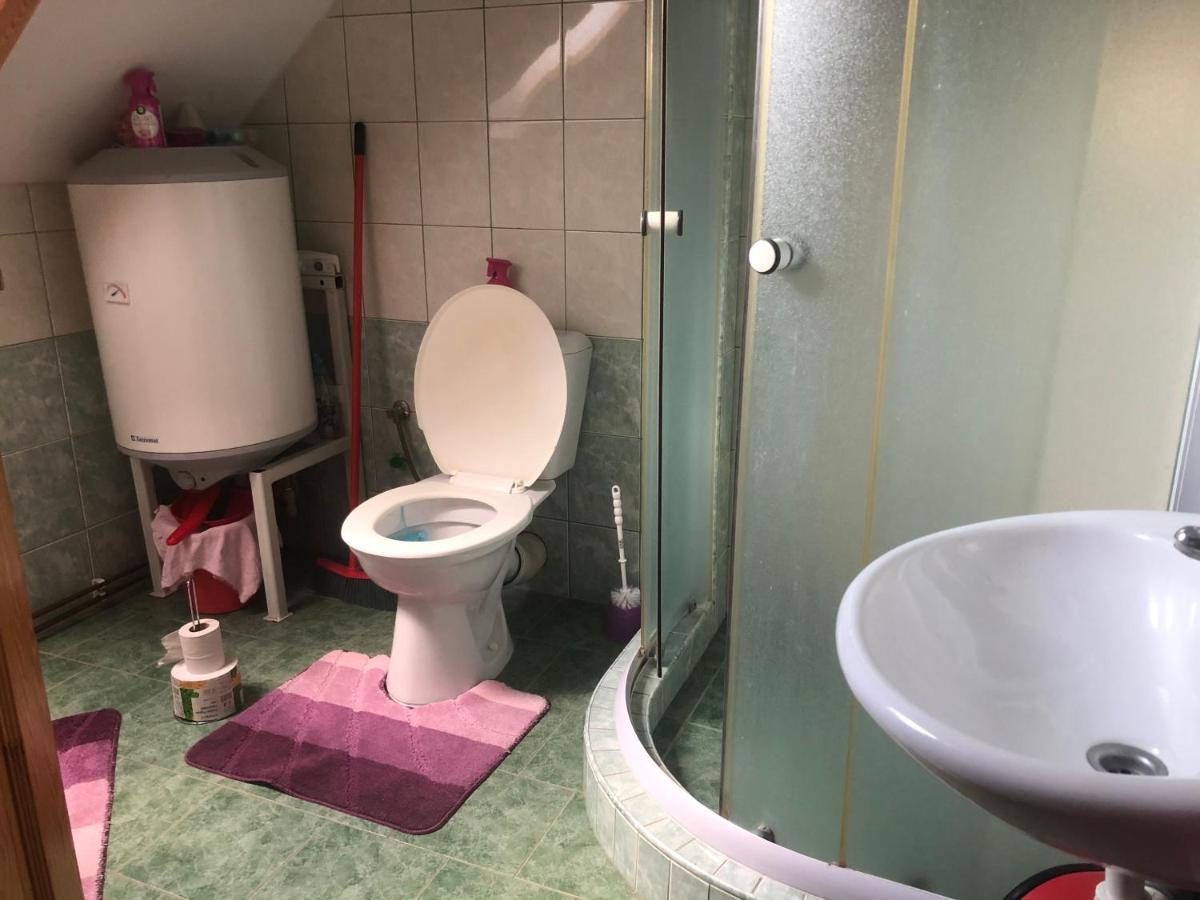 Ubytovani Pod Haniperkem Otel Vodňany Dış mekan fotoğraf