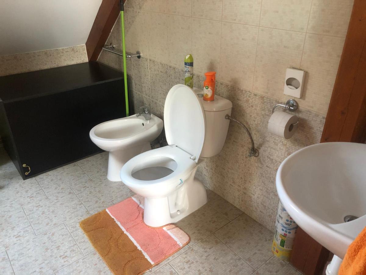 Ubytovani Pod Haniperkem Otel Vodňany Dış mekan fotoğraf