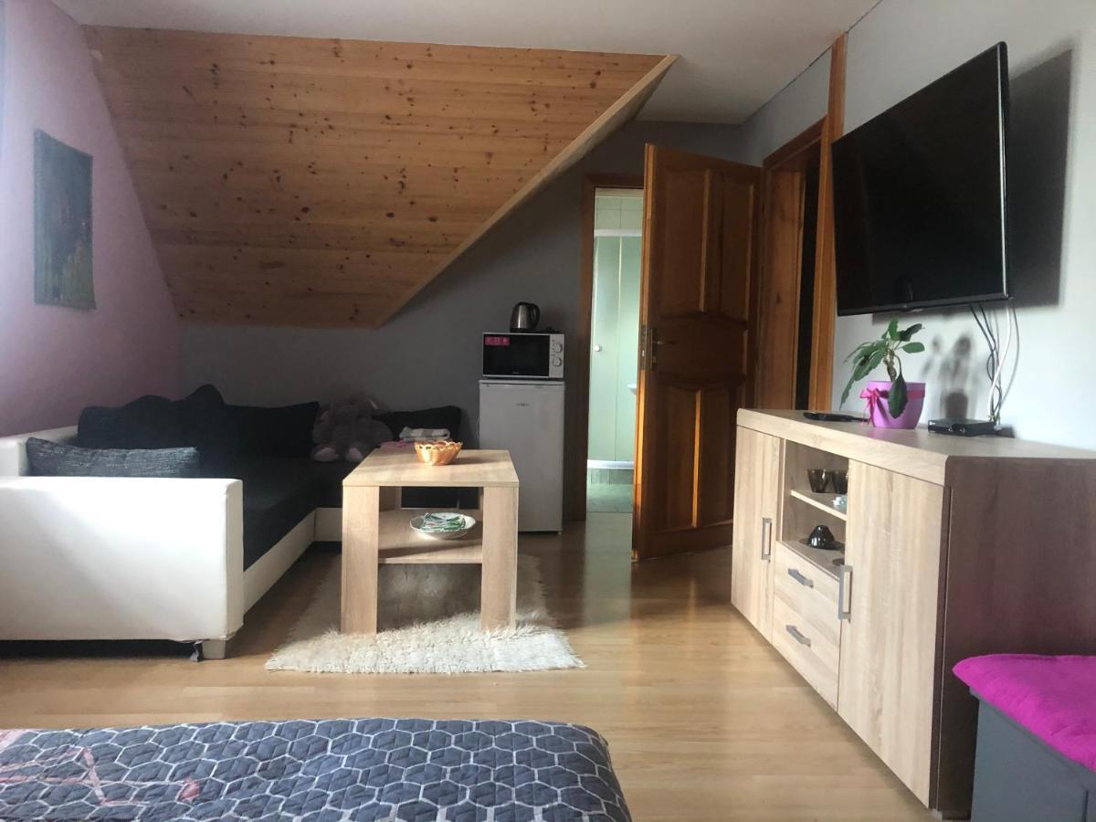 Ubytovani Pod Haniperkem Otel Vodňany Dış mekan fotoğraf