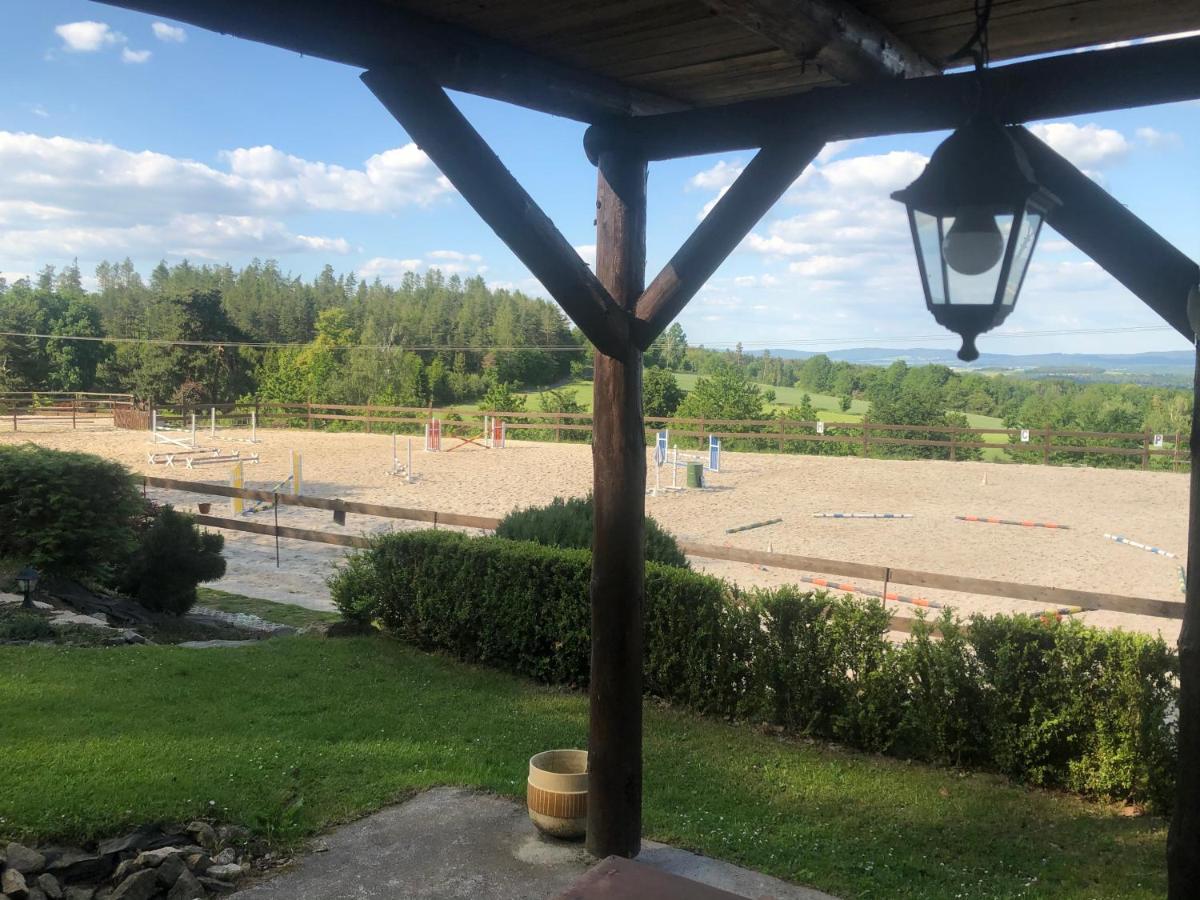 Ubytovani Pod Haniperkem Otel Vodňany Dış mekan fotoğraf