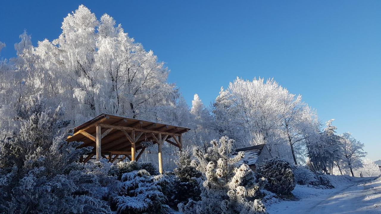 Ubytovani Pod Haniperkem Otel Vodňany Dış mekan fotoğraf